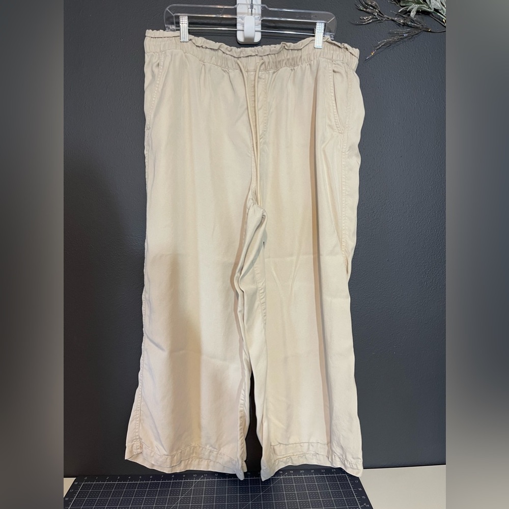 Loft Wide Leg Pants